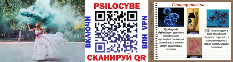 mega ССЫЛКА  Ливны  darknet формула  Галлюциногенные грибы Psilocybe 